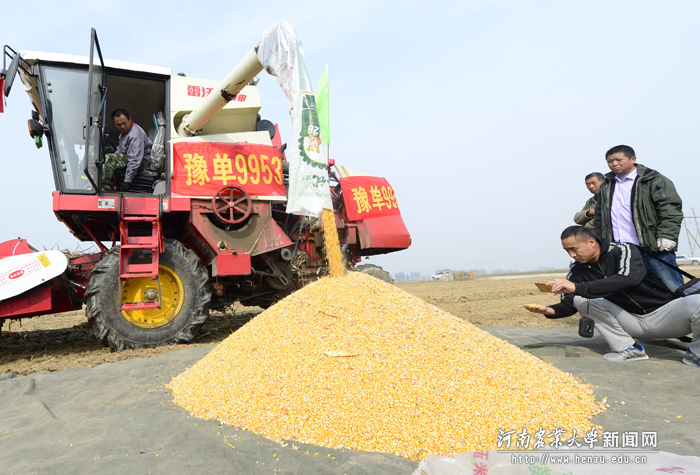 ��ԥ��9953�����ֳ���ǿ���˻�������