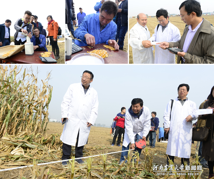 ר����͹�����Ա�����¼�������