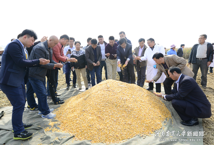 ��ԥ��9953������������������˲λ���������й�ע