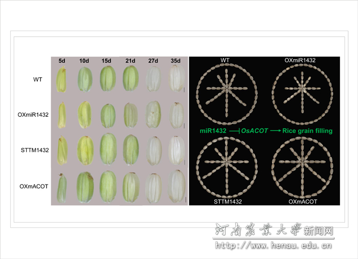 ����ֱ��-����ֱ����ҹ������˽�������ص�����ͼ��