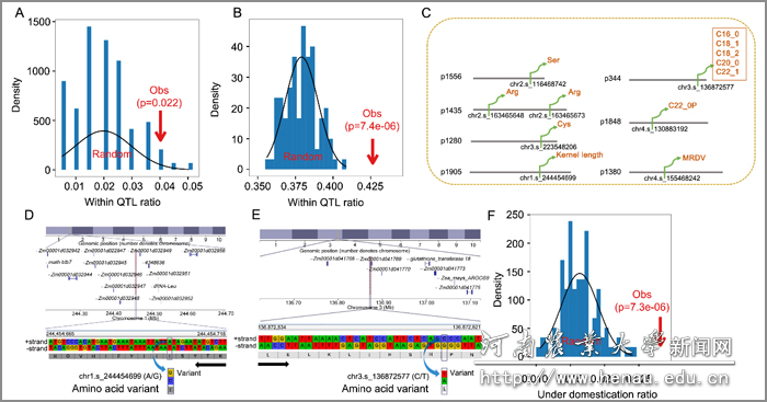 GWAS�����о�NCP�Ĺ���