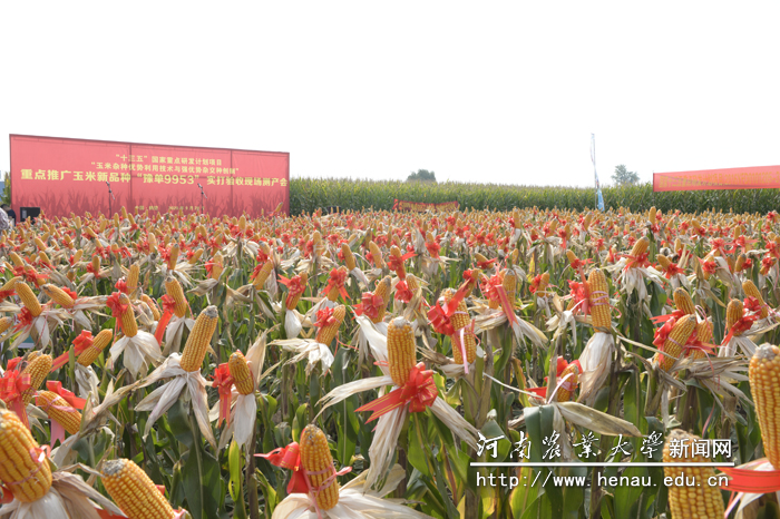 ���յ����ס�����Ҳʡ�ϲ�����