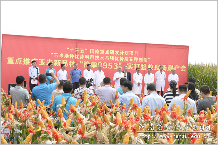 ������Ʒ�֡�ԥ��9953���������չ�Ħ���ֳ�